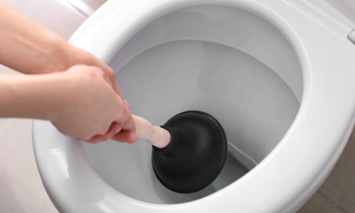 Person using a plunger in a toilet to clear a clog, emphasizing common plumbing issues and maintenance tips for homeowners.