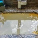 Stagnant puddles reflecting surrounding gray structures and debris, highlighting plumbing concerns in disrepair.